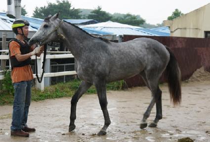 ��Ŀ����� ����