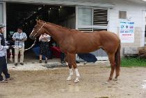 �α��� (INGWANGNO) ����