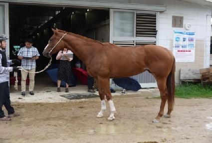 �α��� ����