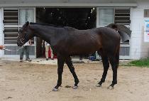 ����è�� (MY CHAMP) ����