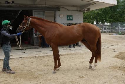 ���������� ����