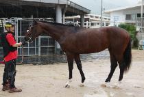 ����Ű���� (SMOKEY VALE) ����