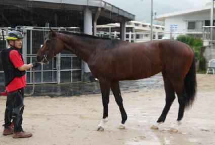 ����Ű���� ����