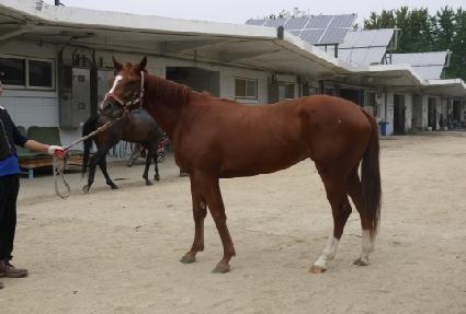 ��ũ�� ����