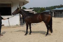 �����ǿ��� (JINGYOGUI YEONGUNG) ����