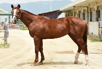 �ܸ� (KYE RI) ����