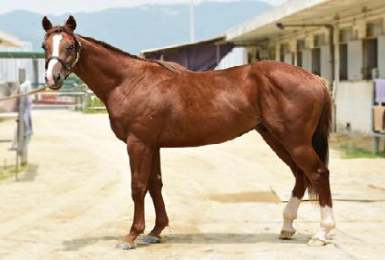 �ܸ� ����