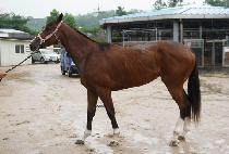 ���鹫��ȸ (GAMYEON MUDOHOE) ����