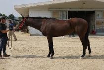 ���� (SEONGPA) ����