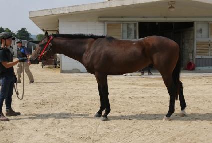 ���� ����