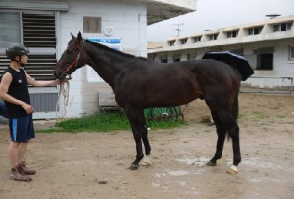 �ٶ�е��� ����