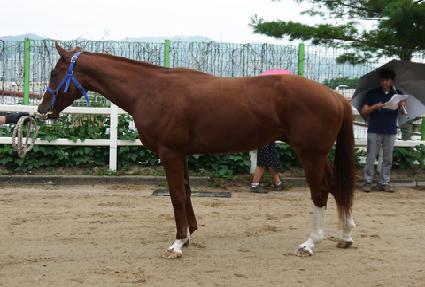 ���̽����� ����