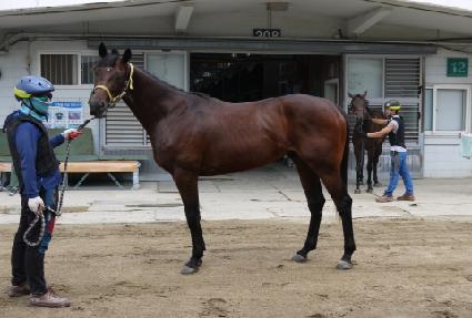 ĸƾ�� ����