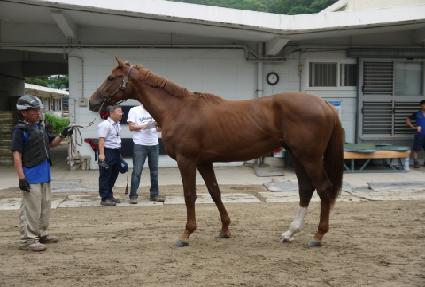 �˹�����ũ��� ����