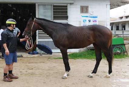 ����Ư�� ����