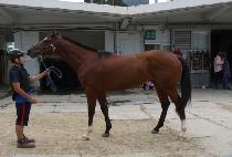 �ô��ǵ� (ALL THAT SPEED) ����