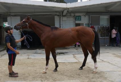 �ô��ǵ� ����