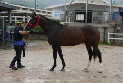 �����ǰ��� ����