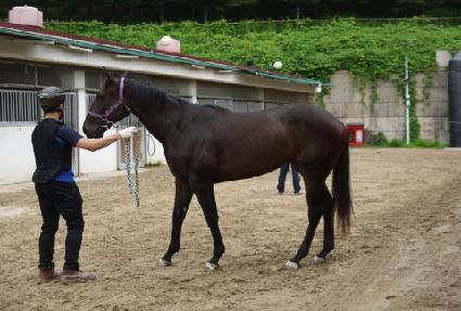 ȲȦ������ ����