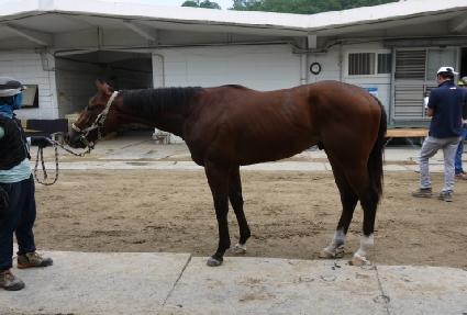 �����ƮĹ ����