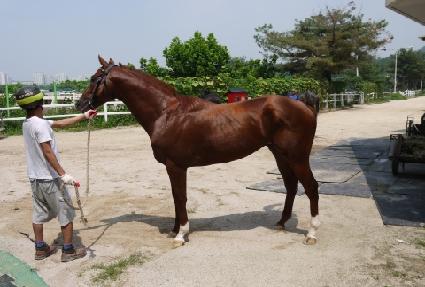 ������ ����