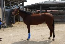 ���Դ���� (TOGETHER HUG) ����