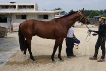 �������� (JAYUROI) ����