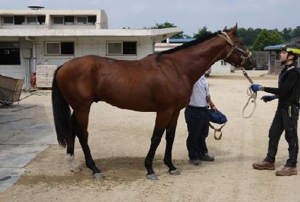 �������� ����