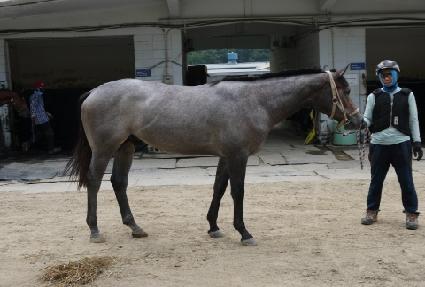 ���ǵ�� ����