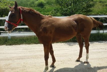 ����Ʈ ����