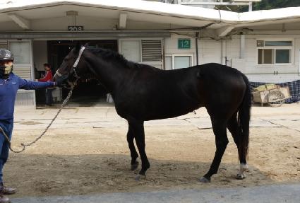 ���糪�� ����