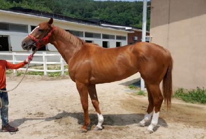 �Ҹ��� ����