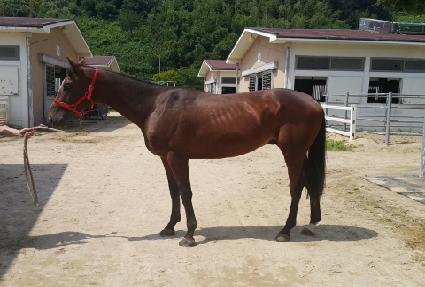 �ϸ����� ����