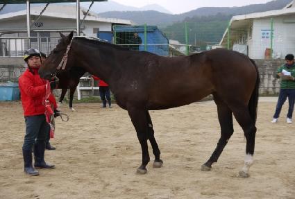 ����Ʈ�� ����