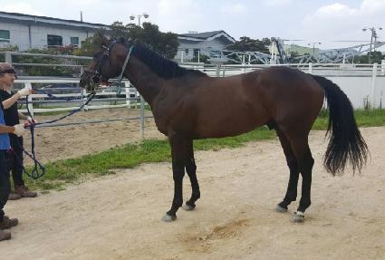 ���̳��ͷ�Ű ����