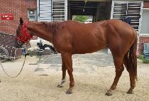 �ְ������� (CHOEGANG TODAY) ����