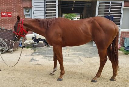 �ְ������� ����