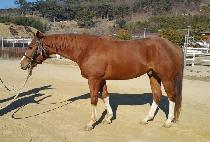 ������������ (MARS PHOBOS) ����