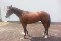 ��Ӵ���Ʈ (DROP THE BEAT) ����