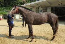 �����ǿ�� (YEOKJEONUI USEUNG) ����