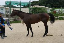 ¥�� (JJARIT) ����