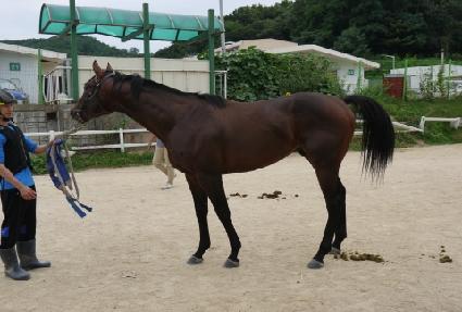 ¥�� ����