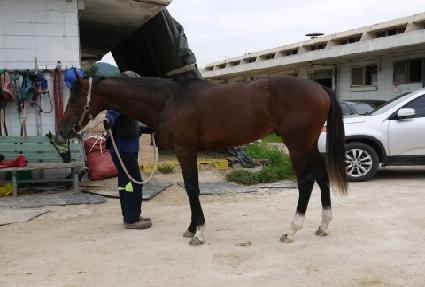 �츮���� ����