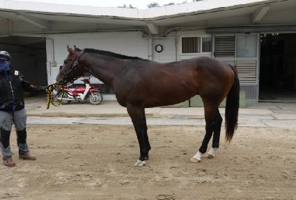 ���������� ����