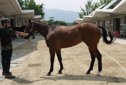 ��� ����