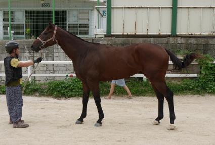 �������Ʈ�� ����