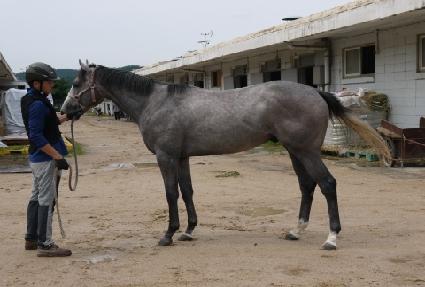 Ȳ�ݼҸ� ����