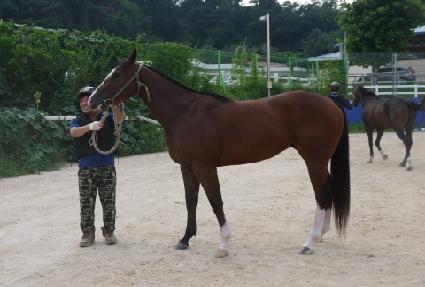 ��ĳ��Ƽ ����