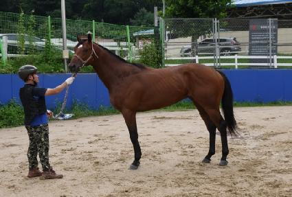 ȭ�� ����