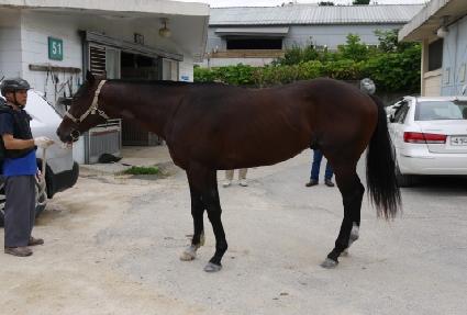 �׳����� ����